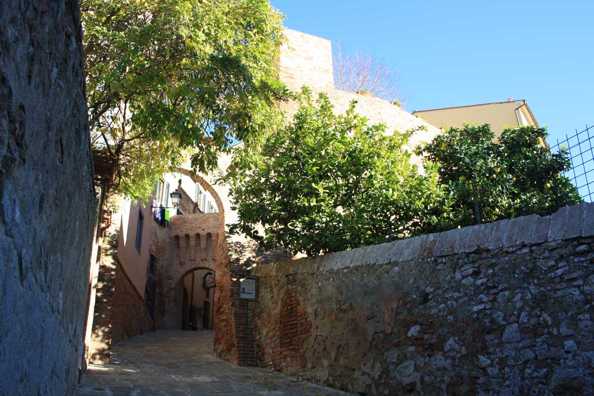 Castello dei Vicari, Lari