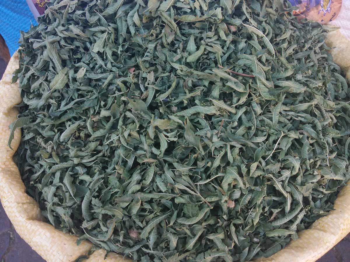 Marrakech, foglie di tè