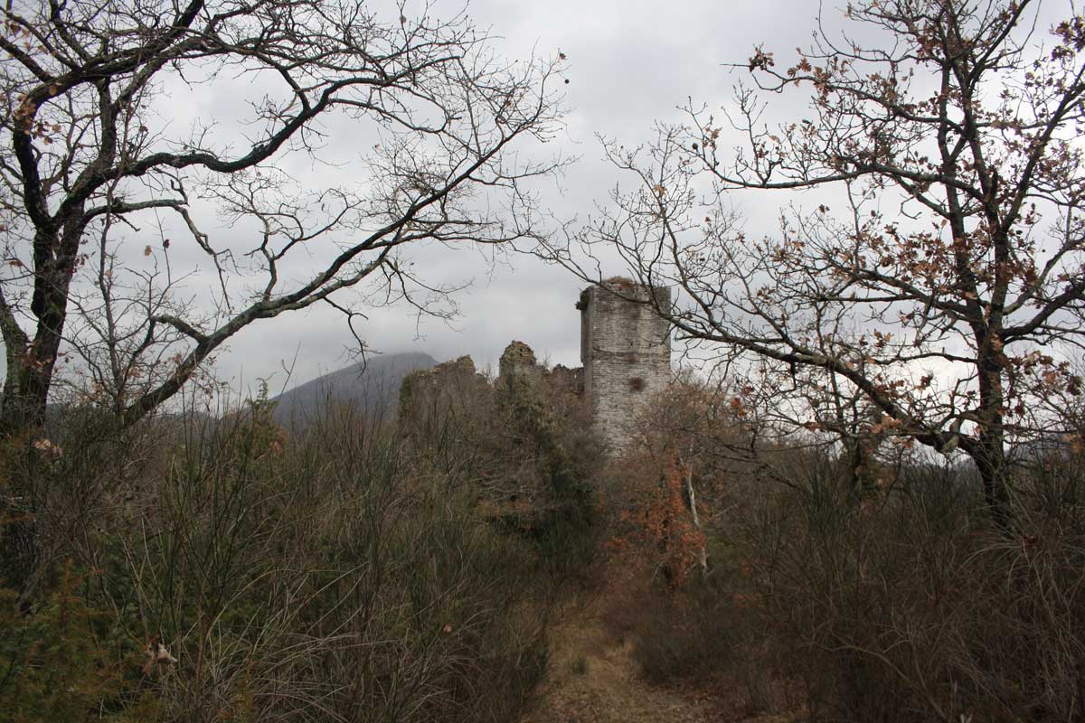 Torre Gualterotta