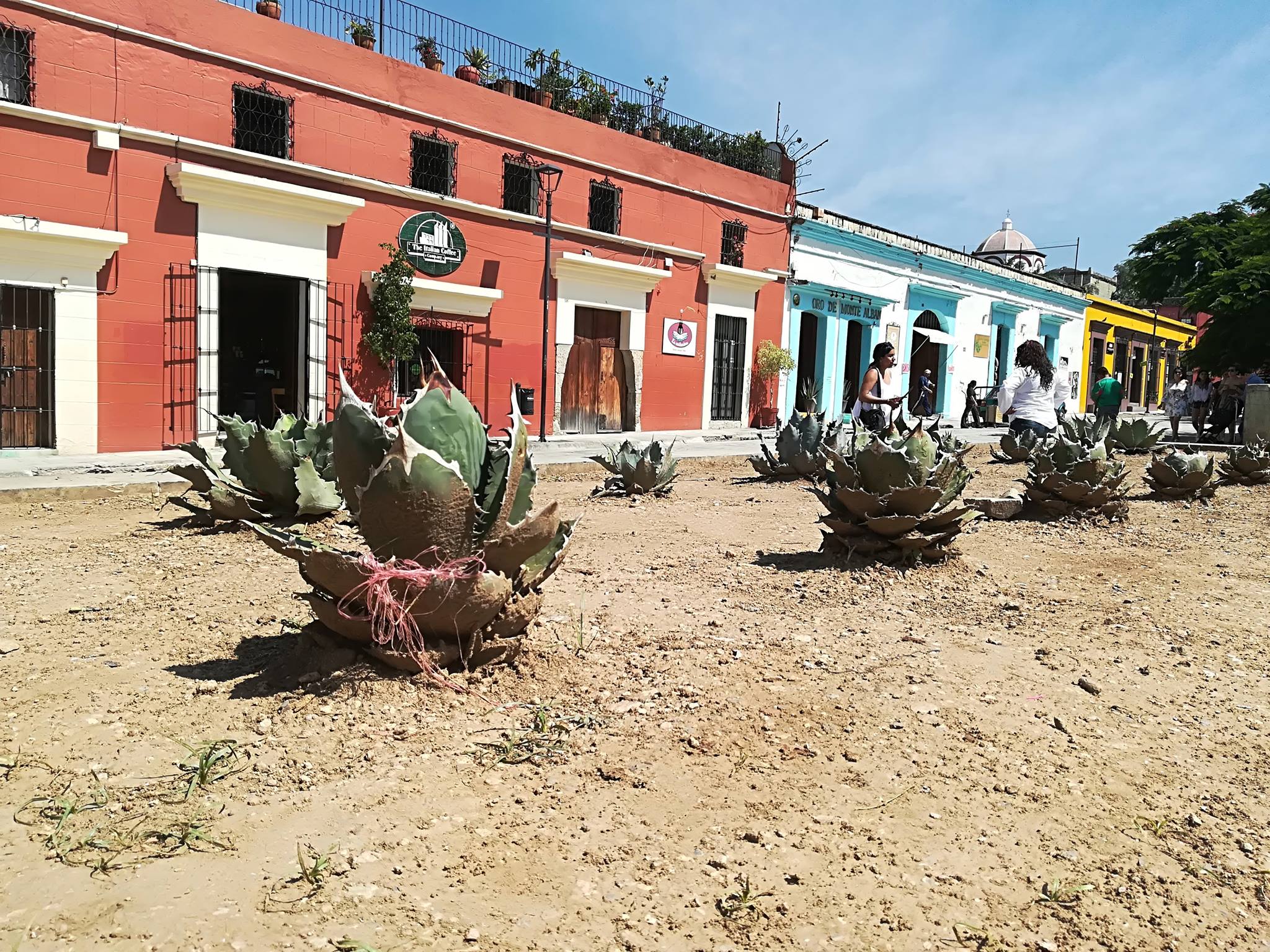 Viaggio in Messico: itinerario di 16 giorni